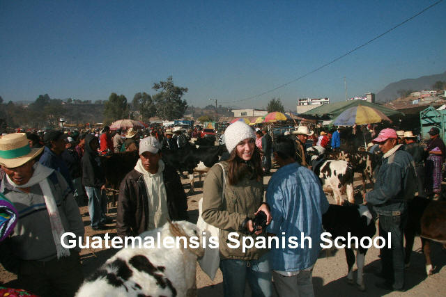 Sunny day at a highland market.