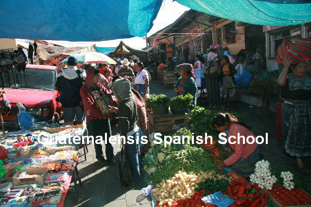 Healthy vegetables only in guatemalan markets.