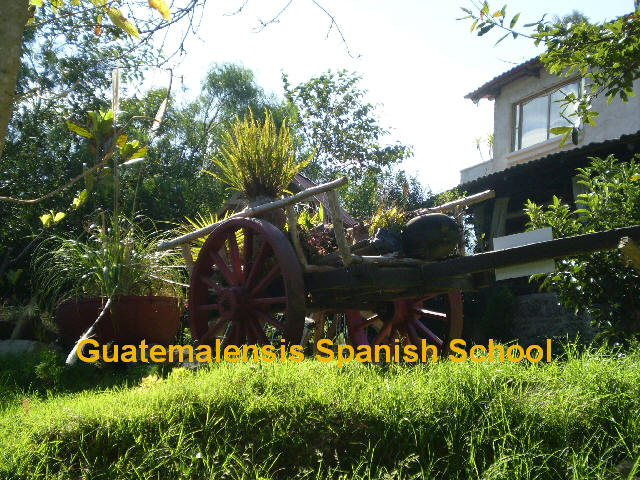 First class healthy natural sauna with volcanic steam.