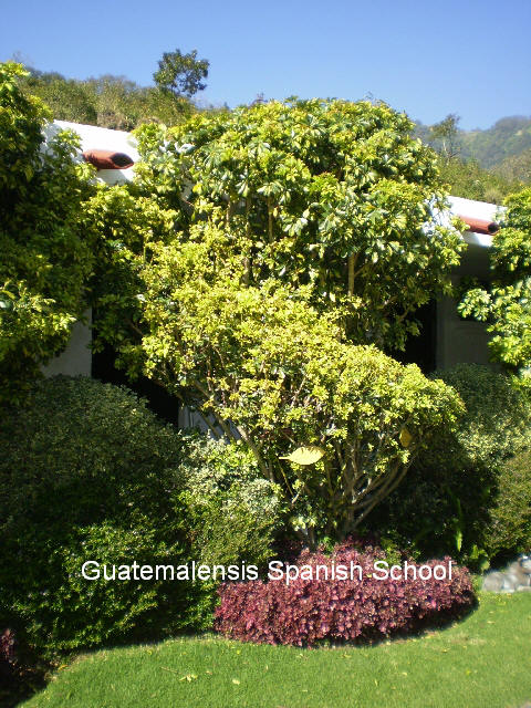 Wonderfull gardens around the natural sauna.