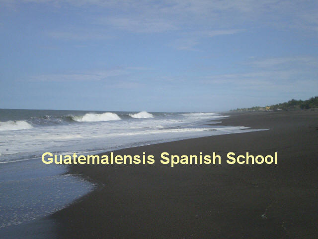 The town of Monterrico is situated on the Pacific coast of Guatemala in the departament of Santa Rosa. Known for its volcanic black sand beaches and annual influx of sea turtles, the town also serves as a major weekend beach resort for citizens of Guatemala City. The town is growing more popular with foreign tourists largely because of the local sea turtle conservation efforts as well as the laid-back atmosphere of the area. A few turtle conservation organizations operate in the Monterrico area because the long stretch of beach serves as a breeding ground for 4 species of sea turtles. Although some locals who hunt for sea turtle eggs during the August-November season do donate a percentage of their catch to the "tortugarios" (sea turtle hatcheries), the majority of eggs laid on the beach are harvested and eaten.