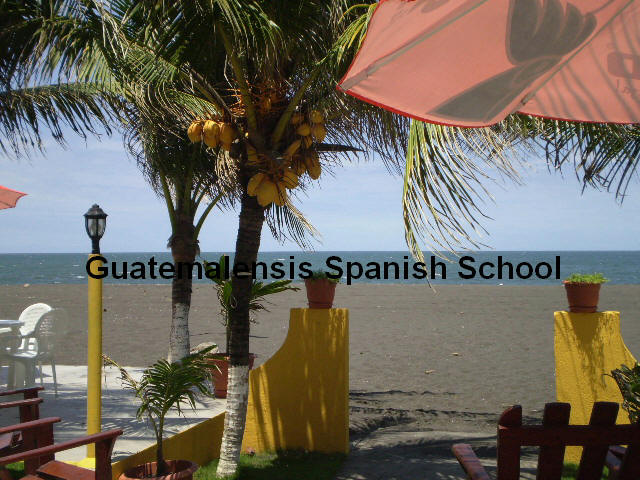 Enjoy a view to the sea from the beach of Monterrico