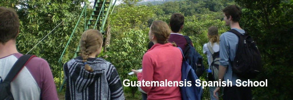 With our program at Guatemalensis Spanish School  you can get the opportunity of know of first hand the natural life in Guatemala.