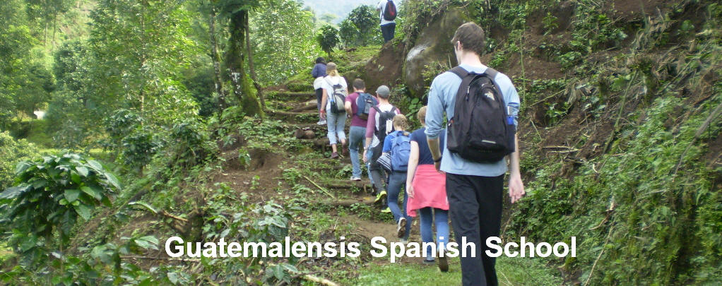 Do you want to know about the Coffee plantations in a farm in Guatemala, Guatemalensis Spanish School has the program.